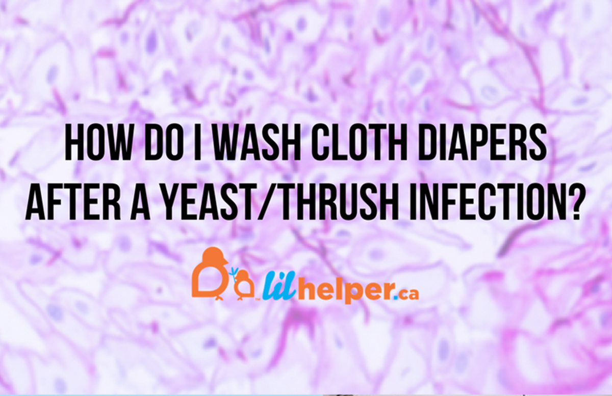 How Do I Wash Cloth Diapers after a Yeast/Thrush Infection? Lil Helper