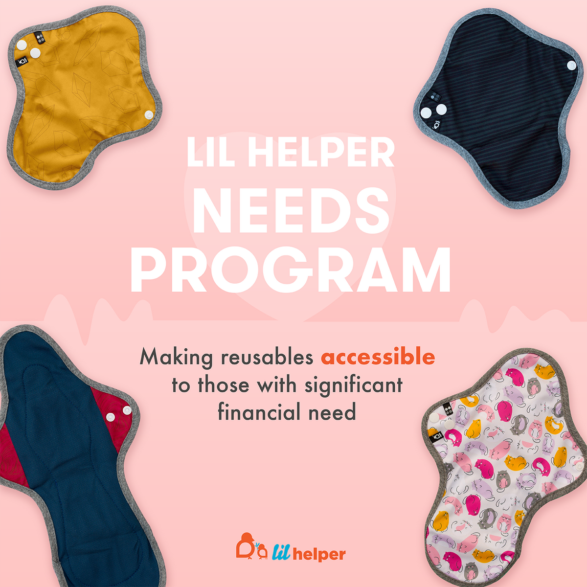 Needs Program