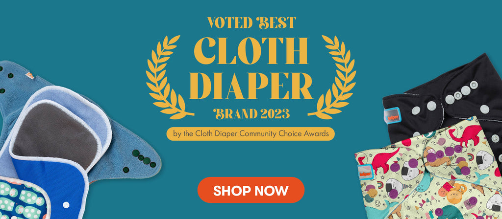 Promotional banner for best cloth diaper brand 2023 with diaper and packaging on a teal background